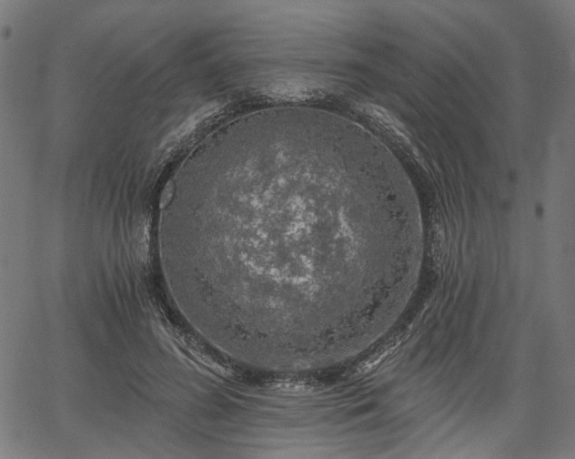 X0000067390596200604031034