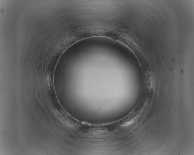 X0000067390597200604031034