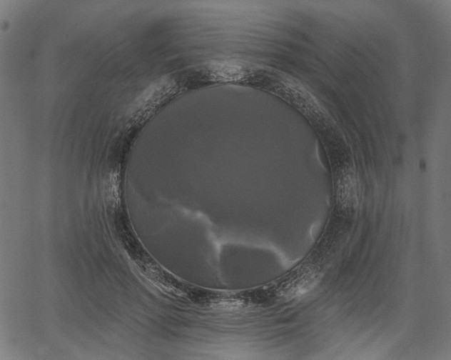 X0000067390598200604031034