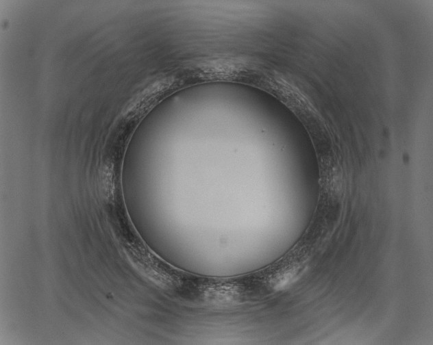 X0000067390599200604031034