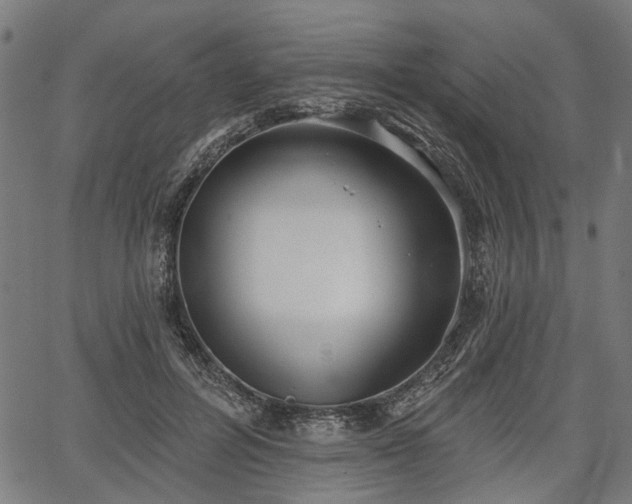 X0000067390600200604031034