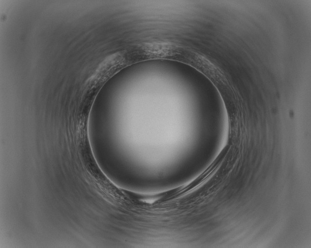 X0000067390601200604031034