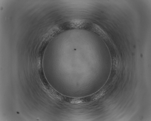 X0000067390602200604031034