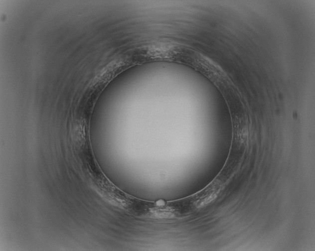 X0000067390603200604031034