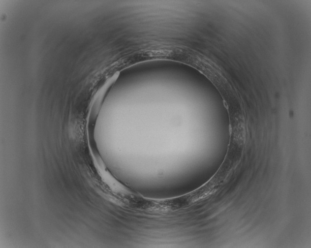 X0000067390604200604031034