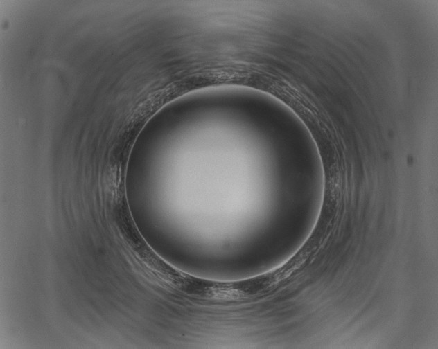 X0000067390605200604031034