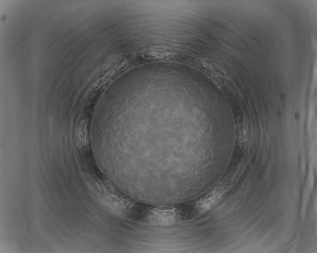 X0000067390606200604031034