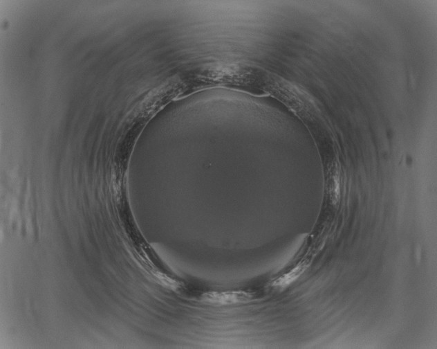 X0000067390607200604031034