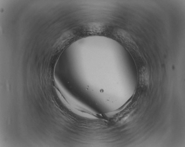 X0000067390608200604031034