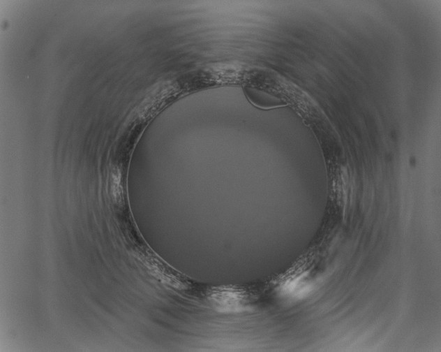 X0000067390610200604031034