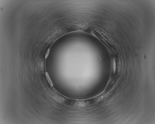 X0000067390613200604031034