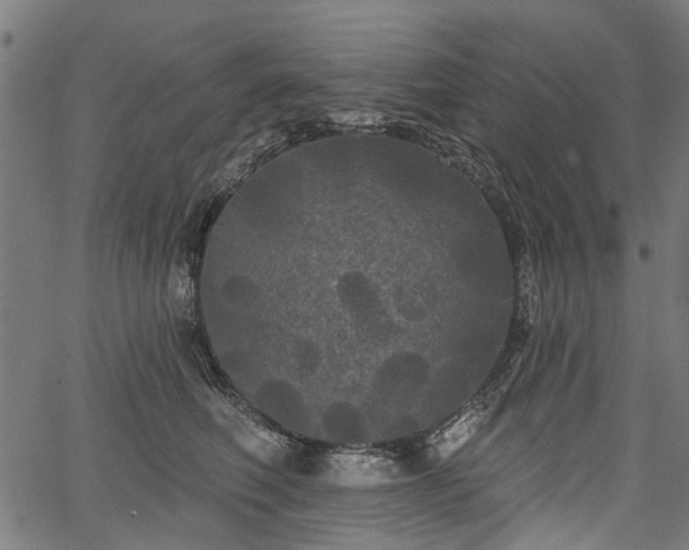 X0000067390614200604031034