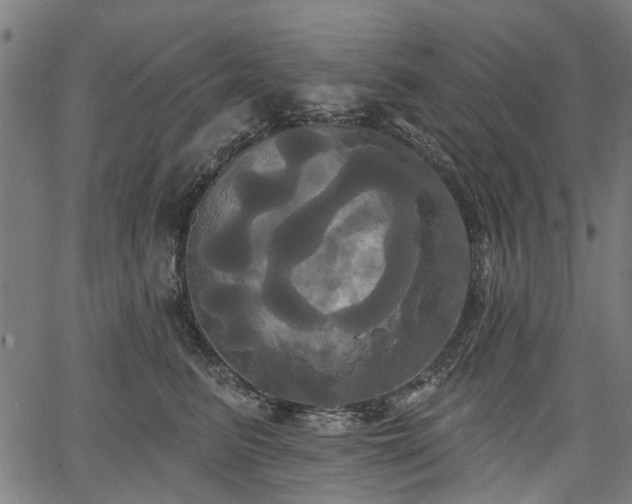 X0000067390615200604031034