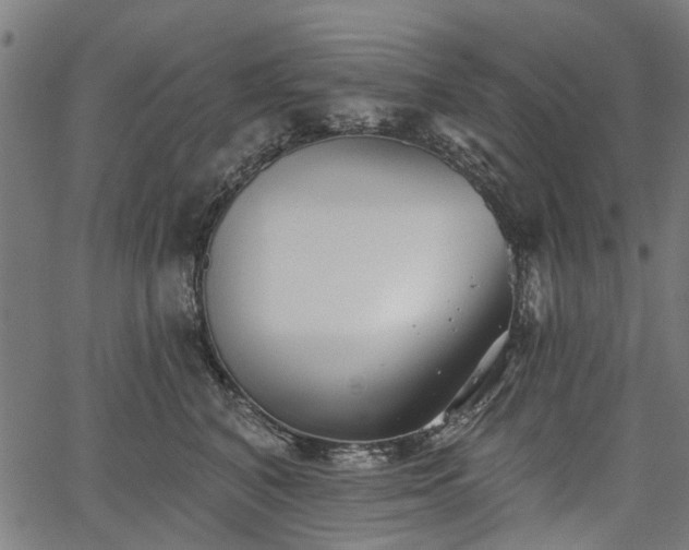 X0000067390616200604031034