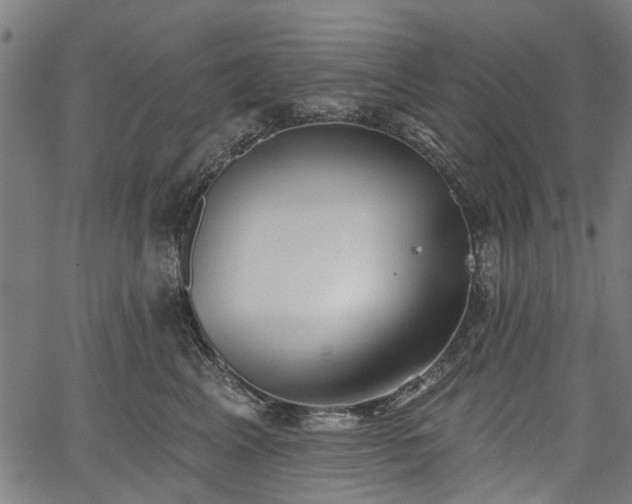 X0000067390617200604031034