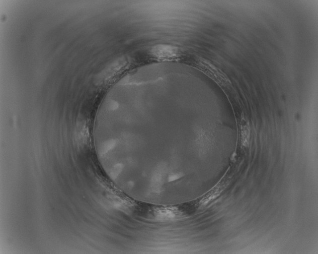 X0000067390618200604031034