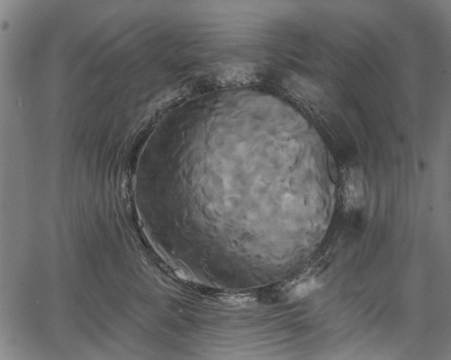 X0000067390619200604031034