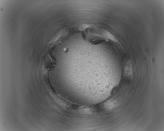 X0000067390620200604031034