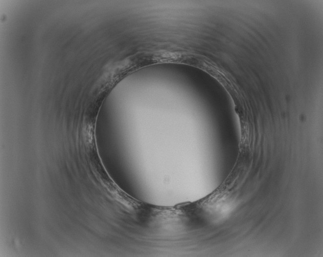 X0000067390621200604031034