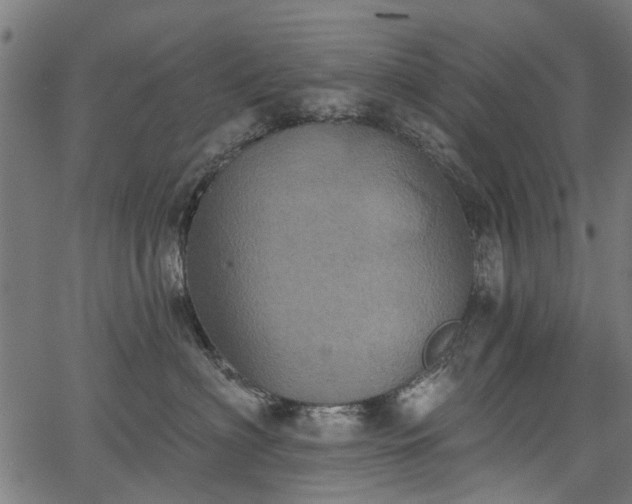 X0000067390622200604031034