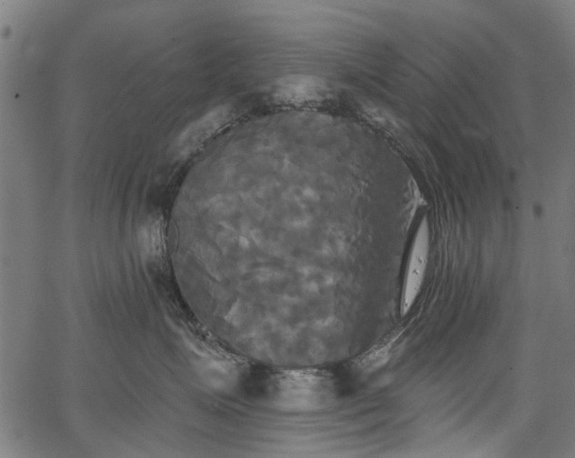 X0000067390623200604031034