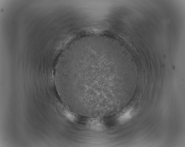 X0000067390624200604031034