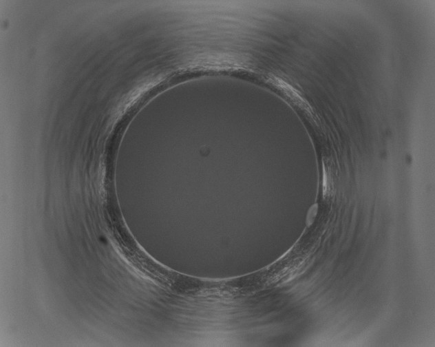 X0000067390627200604031033