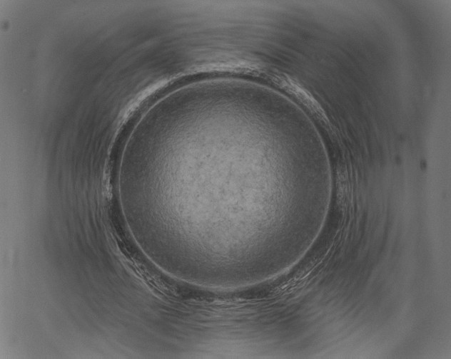 X0000067390628200604031033