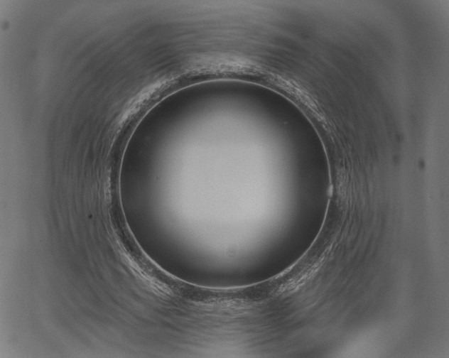 X0000067390629200604031033