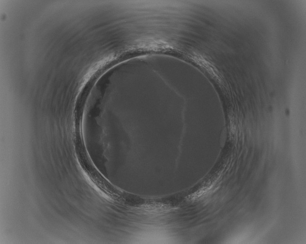 X0000067390630200604031033