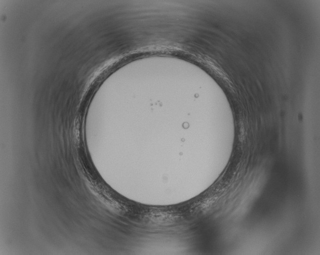 X0000067390632200604031033