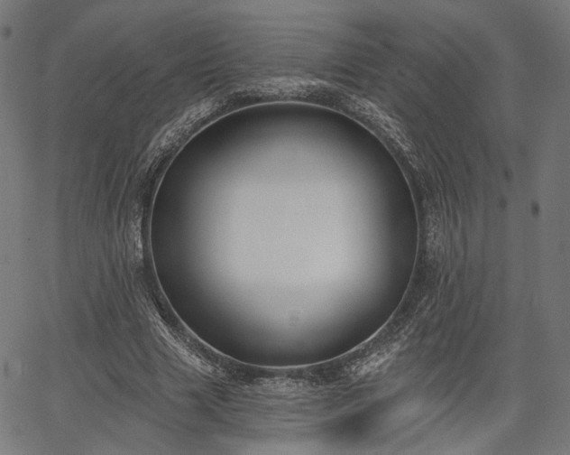 X0000067390633200604031033