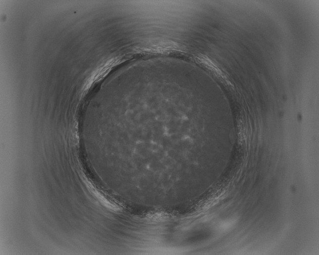 X0000067390634200604031033