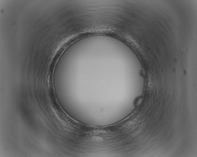 X0000067390636200604031033