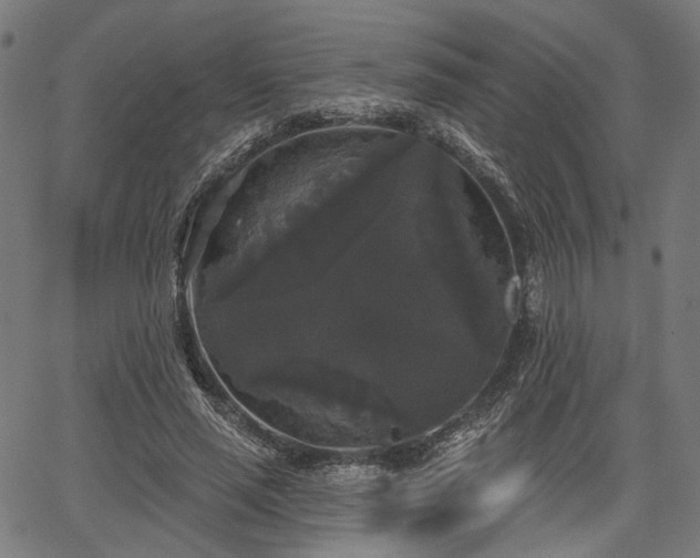 X0000067390637200604031033