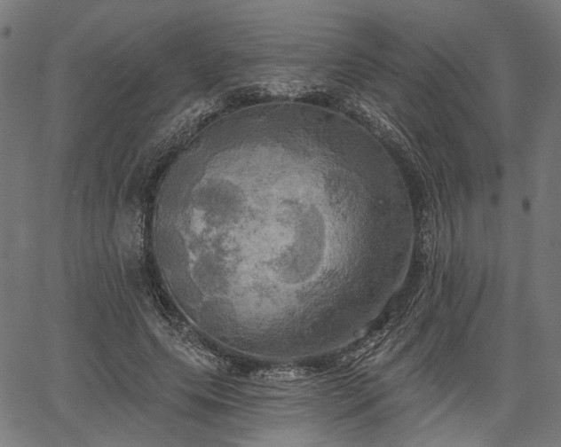 X0000067390639200604031033