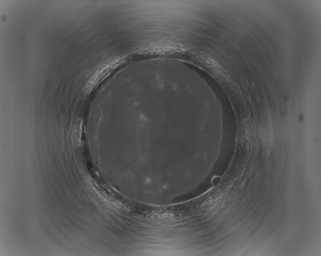 X0000067390640200604031034