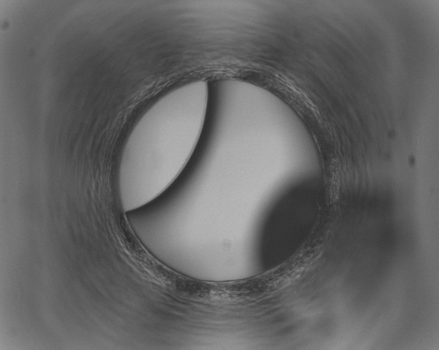 X0000067390641200604031034