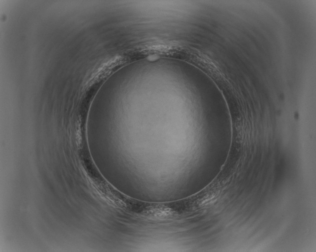 X0000067390642200604031034