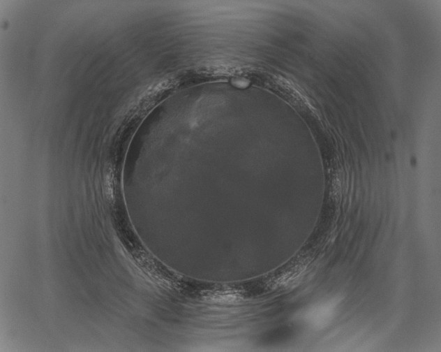 X0000067390643200604031034