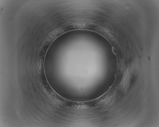 X0000067390645200604031034