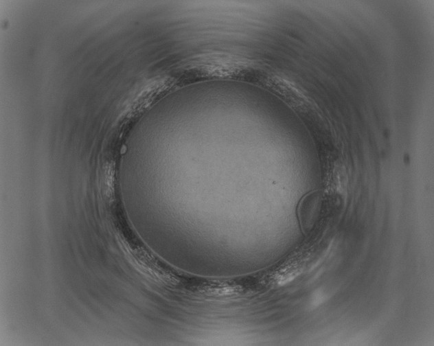 X0000067390646200604031034