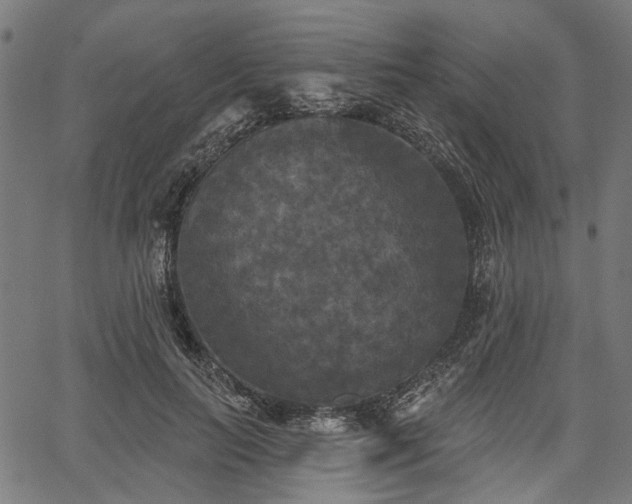 X0000067390647200604031034