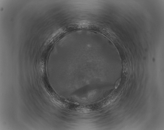 X0000067390648200604031034