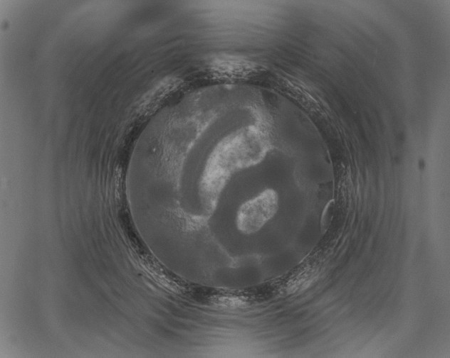 X0000067390649200604031034