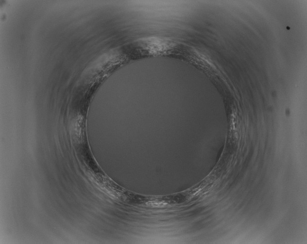 X0000067390650200604031034