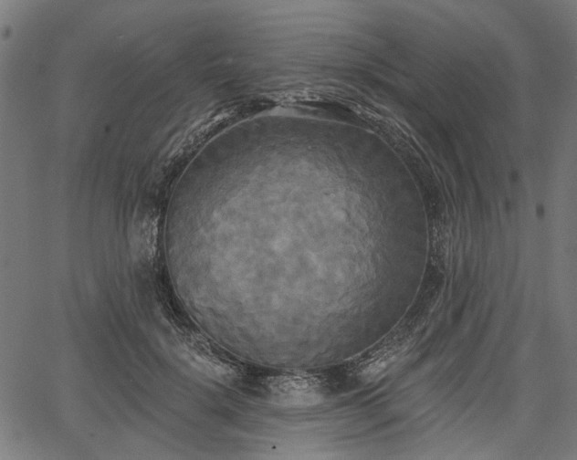 X0000067390652200604031034