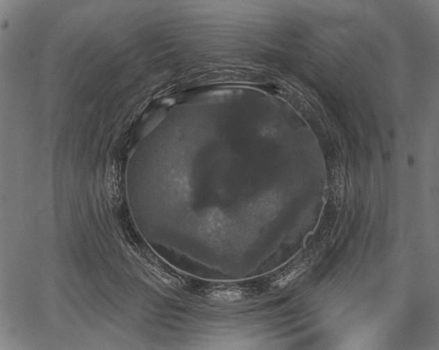 X0000067390653200604031034