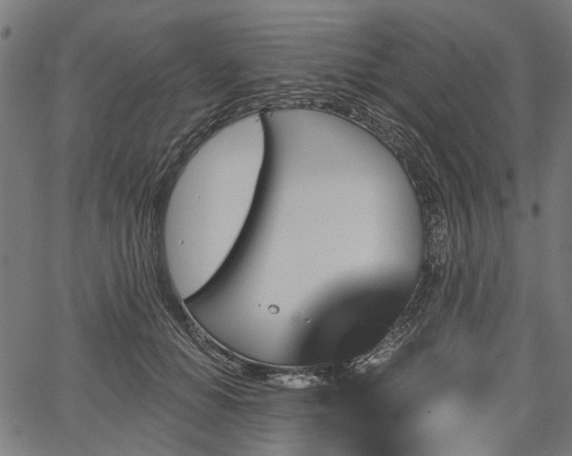 X0000067390654200604031034