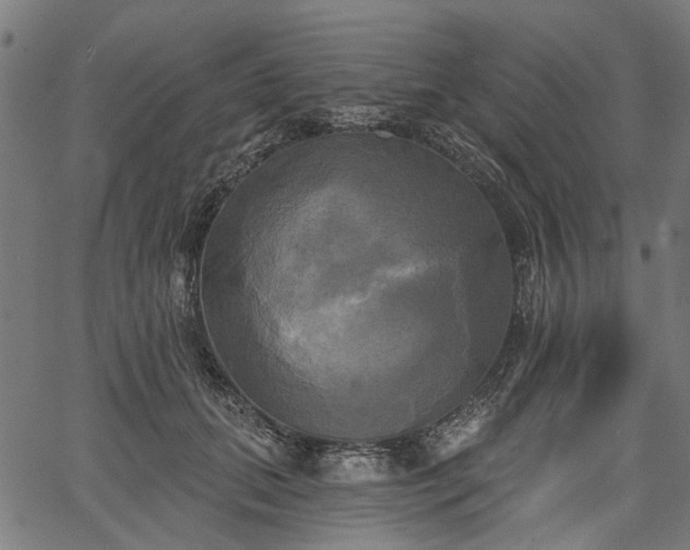 X0000067390655200604031034